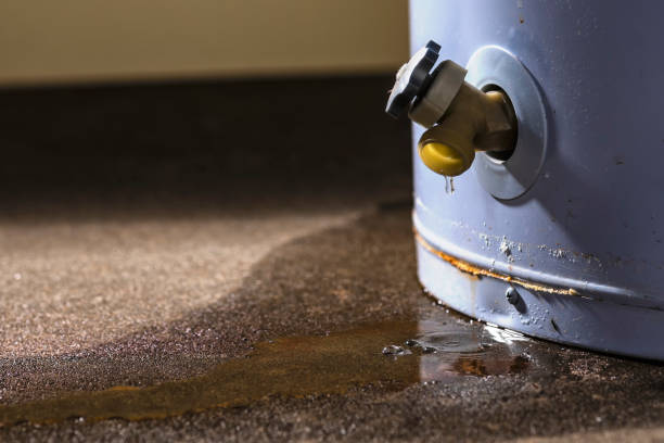 Best Flood restoration services  in Haliimaile, HI