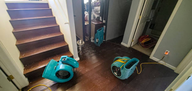 Best 24-hour water damage restoration  in Haliimaile, HI