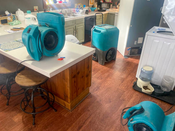 Best 24/7 water damage repair  in Haliimaile, HI