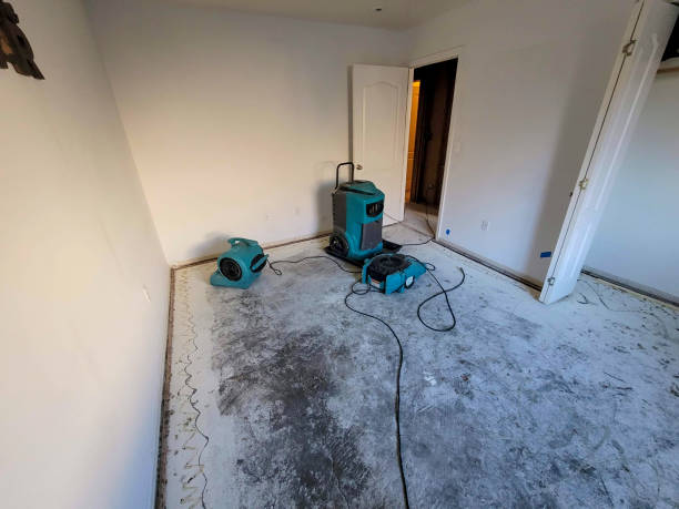 Best Ceiling water damage repair  in Haliimaile, HI