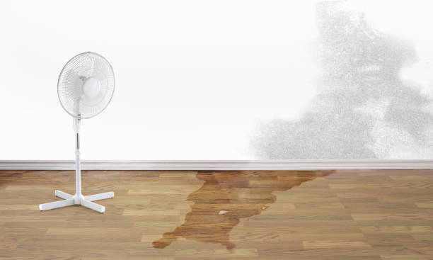 Best Emergency water damage restoration  in Haliimaile, HI