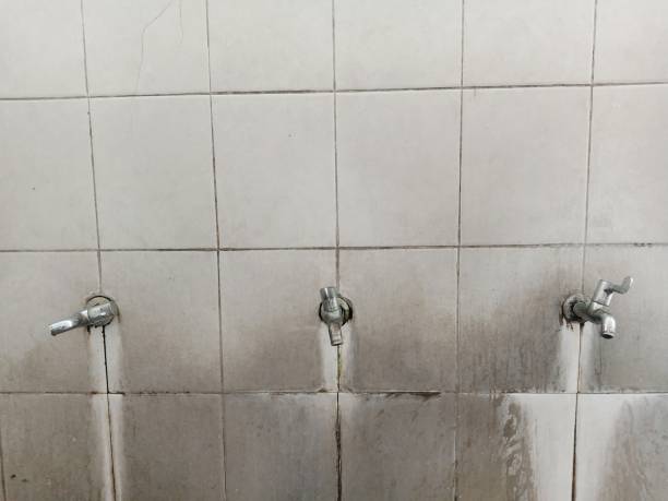 Best Basement water damage restoration  in Haliimaile, HI