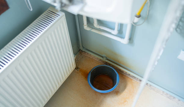 Best Water damage restoration experts  in Haliimaile, HI