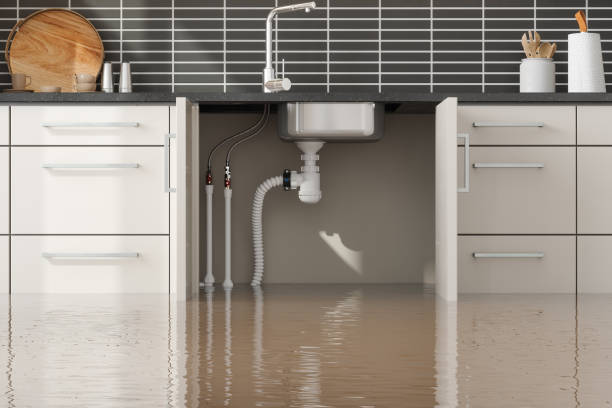 Best Water damage restoration near me  in Haliimaile, HI