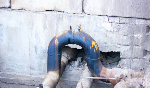 Best Water damage restoration specialists  in Haliimaile, HI