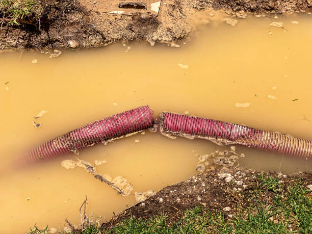Best Water damage cleanup near me  in Haliimaile, HI