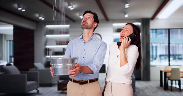 Best Local water damage restoration  in Haliimaile, HI