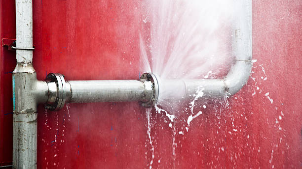 Best Water damage contractors near me  in Haliimaile, HI